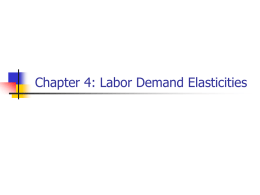 Chapter 4: Labor Demand Elasticities