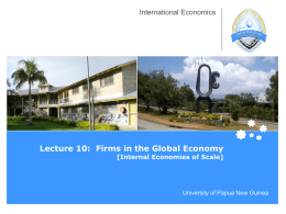 Lecture 10: Firms in the Global Economy