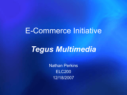 E-Commerce Initiative