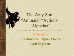 The Zany Zoo! “Animals” “Actions” “Alphabet”