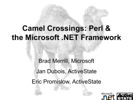 Camel Crossings: Perl & the Microsoft .NET Framework