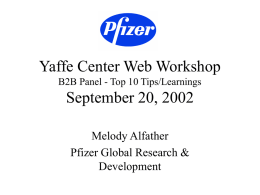 Yaffe Center Web Workshop B2B Panel September 20, 2002