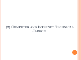 (2) Computer and Internet Technical Terms (Jargons)