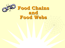 Food Chains and Food Webs - Kent City School District