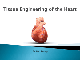 Tissue Engineering of the Heart - Electrical, Computer & Biomedical
