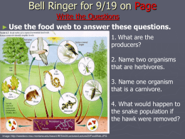 Bell Ringer for 9/5
