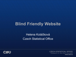 Blind Friendly Website