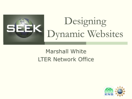 Designing Dynamic Websites