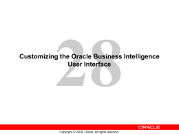 Customizing the Oracle Business Intelligence