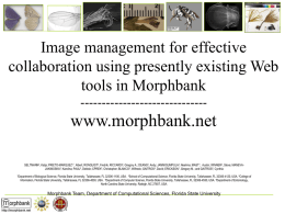 ppt - Morphbank ALA