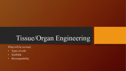 Tissue/Organ Engineering