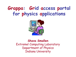 Grappa: Grid access portal to physics applications
