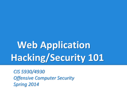 Web Application Hacking/Security 101