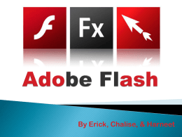 Adobe Flash - Erick-Portfolio-2012