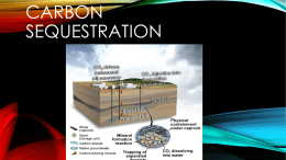 Carbon sequestration