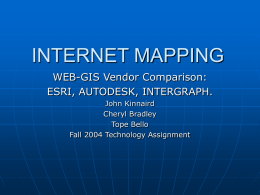 INTERNET MAPPING