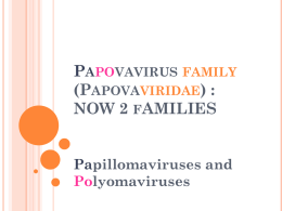 papovavirus family (Papovaviridae)