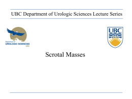Department of Urologic Sciences