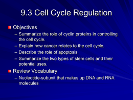 Chapter 9 Cellular Reproduction
