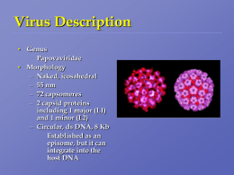 History of HPV Detection - EvergreenStateCollege-Home