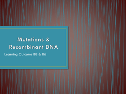 Mutations & Recombinant DNA