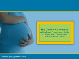 The Choline Connection A Healthcare Professional’s G