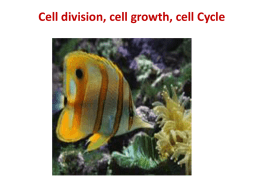 Regulation of Cell Division