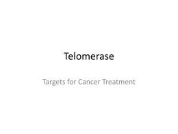 Telomerase and Topoisomerase