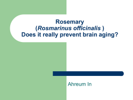 Rosemary (Rosmarinus officinalis ) Could help