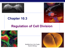 Chapter 12. Regulation of the Cell Cycle