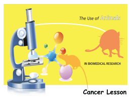 The use of animals in research: Cancer lesson
