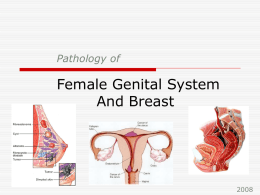 Pathology of Female Genital System And Breast