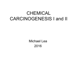 CHEMICAL CARCINOGENESIS