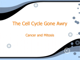 Chapter 12 Presentation-The Cell Cycle