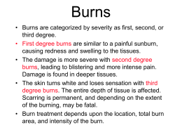 Burns and Other Skin Disorders
