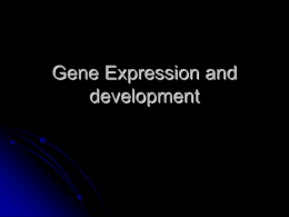 2-Gene Expression & Development