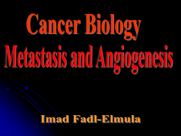 Cancer Biology Angiogenesis and Metastasi