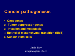 2. Tumor suppressor genes TSGs