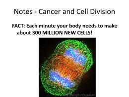 Notes - Cancer and Cell Division