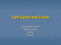 Cell Cycle and Facts