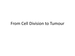 04-From Cell Division to Tumour - Alexmac