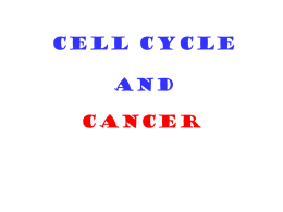 cell cycle and