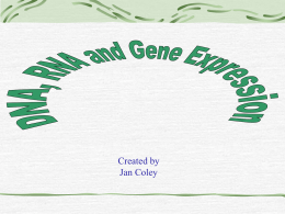 Gene Expression Jeopardy