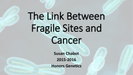 Fragile Sites and Cancer Powerpoint