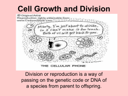 cell growthand division