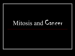 Mitosis and Cancer - HRSBSTAFF Home Page