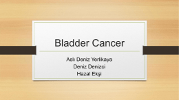 Bladder Cancer - WordPress.com