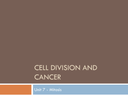 Cell Division and Cancer