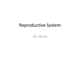 Reproductive System - Porterville College Home