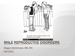 Male Reproductive Disorders